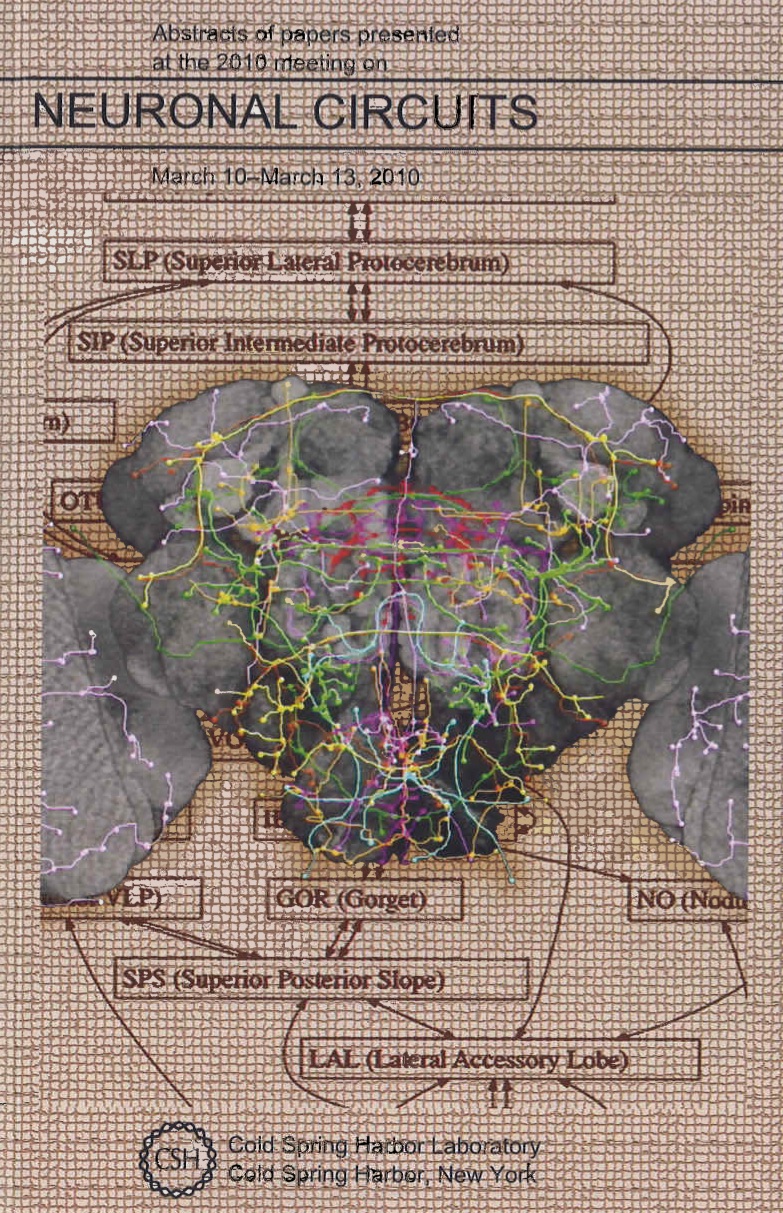 Brain wiring atlas of a fruit fly